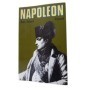 Napoléon ou le Mythe du sauveur