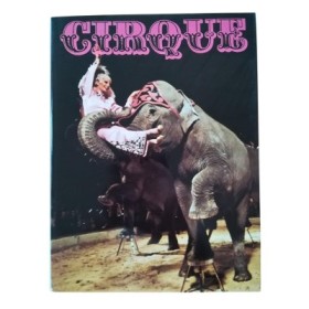 Cirque Knie : une dynastie du cirque
