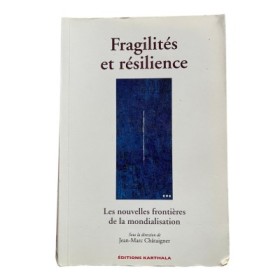 Fragilités et résilience : les nouvelles frontières de la mondialisation