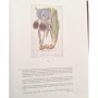 Sotheby's | A Magnificient Collection of Botanical Books