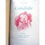 Voltaire | Candide - illustrations de Mittis
