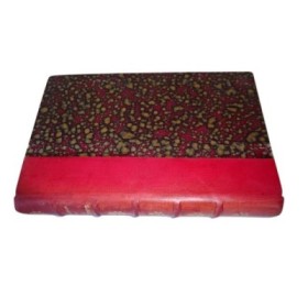 Le bon temps : roman