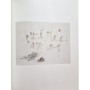 Sayag, Alain | Matta : dessins 1936-1989