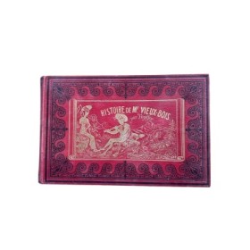 Histoire de Mr Vieux Bois.