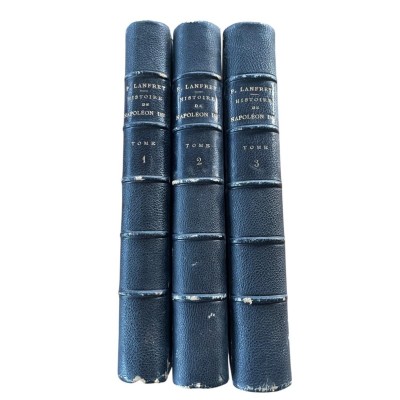 Histoire de Napoléon Ier (Tomes 1