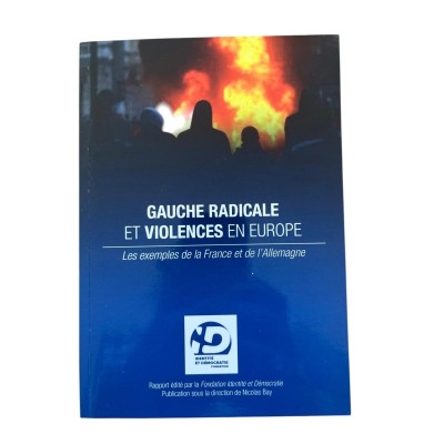 Gauche radicale et violences en Europe. Les exemples de la France et de l'Allemagne.