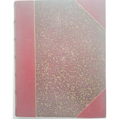 Saint François d'Assise