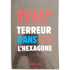 Terreur dans l'hexagone : genèse du djihad français