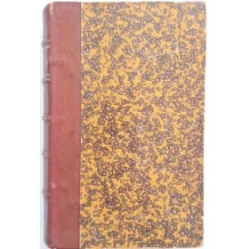 Histoire contemporaine. Le mannequin d'osier