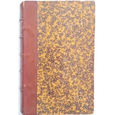 Histoire contemporaine. Le mannequin d'osier