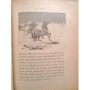 Maupassant, Guy de | Contes de la bécasse