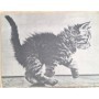 Colette | Chats