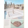 Vanags, Patricia | Pompei : résurrection d'une cité