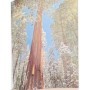 Hewes, Jeremy Joan | Redwoods: The World's Largest Trees