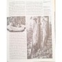 Hewes, Jeremy Joan | Redwoods: The World's Largest Trees
