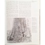 Hewes, Jeremy Joan | Redwoods: The World's Largest Trees