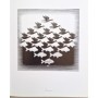 Escher, Maurits Cornelis | M. C. Escher : l'oeuvre graphique / introduction et commentaires du graveur