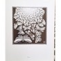 Escher, Maurits Cornelis | M. C. Escher : l'oeuvre graphique / introduction et commentaires du graveur