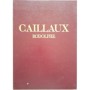 Le monde flamboyant de Rodolphe Caillaux