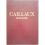 Le monde flamboyant de Rodolphe Caillaux