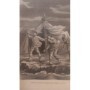 Istivie, E. | Vers la liberté ! : récit d'aventures et de voyage / par E. Istivie - quarante-cinq gravures de Tofani et de Desr