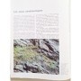 Tosco, Uberto | La Flore alpine