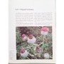 Tosco, Uberto | La Flore alpine