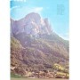 Tosco, Uberto | La Flore alpine