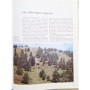 Tosco, Uberto | La Flore alpine