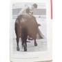 Clergue Lucien, Montcouquiol Alain, Cau Jean | Nimeno II : torero de France