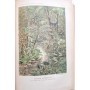 Flammarion, Camille | Monde avant la création de l'homme : origines de la terre, origines de la vie, origines de l'humanité