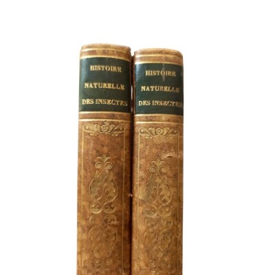Histoire naturelle des insectes et des mollusques