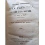 Antelme Adrien -  sous la dir. Geoffroy-saint-hilaire | Histoire naturelle des insectes et des mollusques