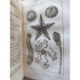 Antelme Adrien -  sous la dir. Geoffroy-saint-hilaire | Histoire naturelle des insectes et des mollusques