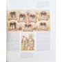 Lucena Salmoral, Manuel | L'Amérique en 1492 : portrait d'un continent
