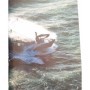 Georges, Éliane. Plisson, Philip | La mer