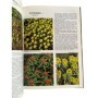 Bloom, Alan | Les Plantes vivaces de nos jardins (3 éd.)