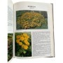 Bloom, Alan | Les Plantes vivaces de nos jardins (3 éd.)