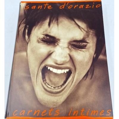 Carnets intimes / A private view