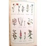 Dutilleul, Jean . Ramé, E. | Les sciences physiques et naturelles