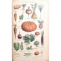 Dutilleul, Jean . Ramé, E. | Les sciences physiques et naturelles
