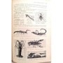 Roudil, A.. Bartoli Mme | Les Sciences physiques et naturelles au cours supérieur