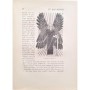 Butts, Marie | Récits des temps bibliques. 2e partie