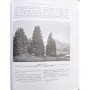 Cardot, Émile | Manuel de l'arbre