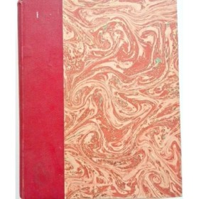 Art d'Occident : le Moyen âge roman et gothique ( 3eme édition )