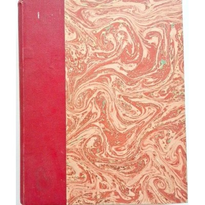 Art d'Occident : le Moyen âge roman et gothique ( 3eme édition )
