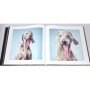 Flach, Tim | Quels chiens !