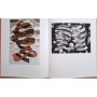 Escher, Maurits Cornelis | M. C. Escher : l'oeuvre graphique / introduction et commentaires du graveur
