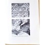 Moracchini, Genevieve | Le pavement en mosaique de la basilique paleo-chrétienne et du baptistere de Mariana ( Corse)