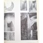 Collectif | Filippo Brunelleschi : 1377-1446